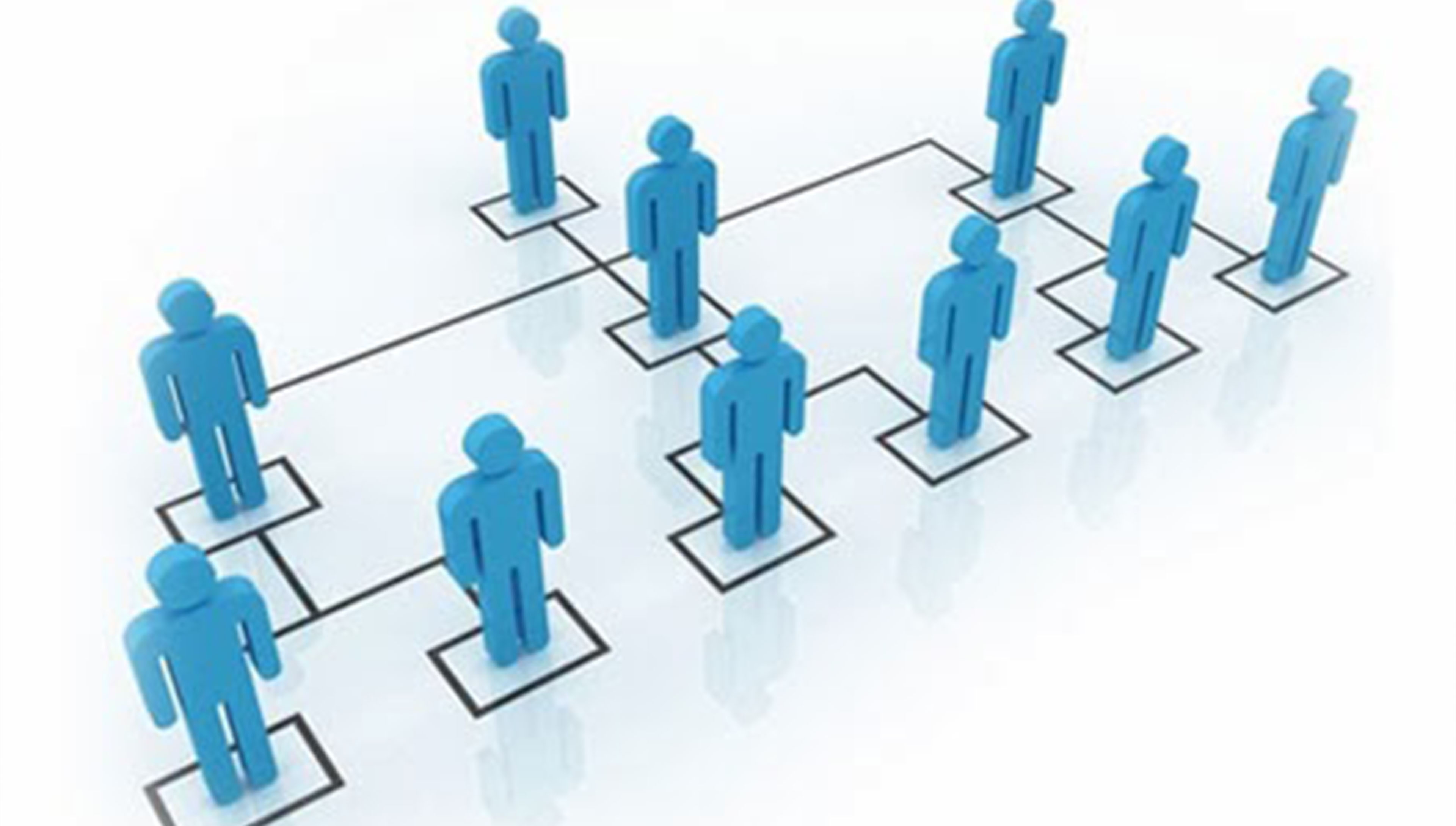 SƠ ĐỒ TỔ CHỨC